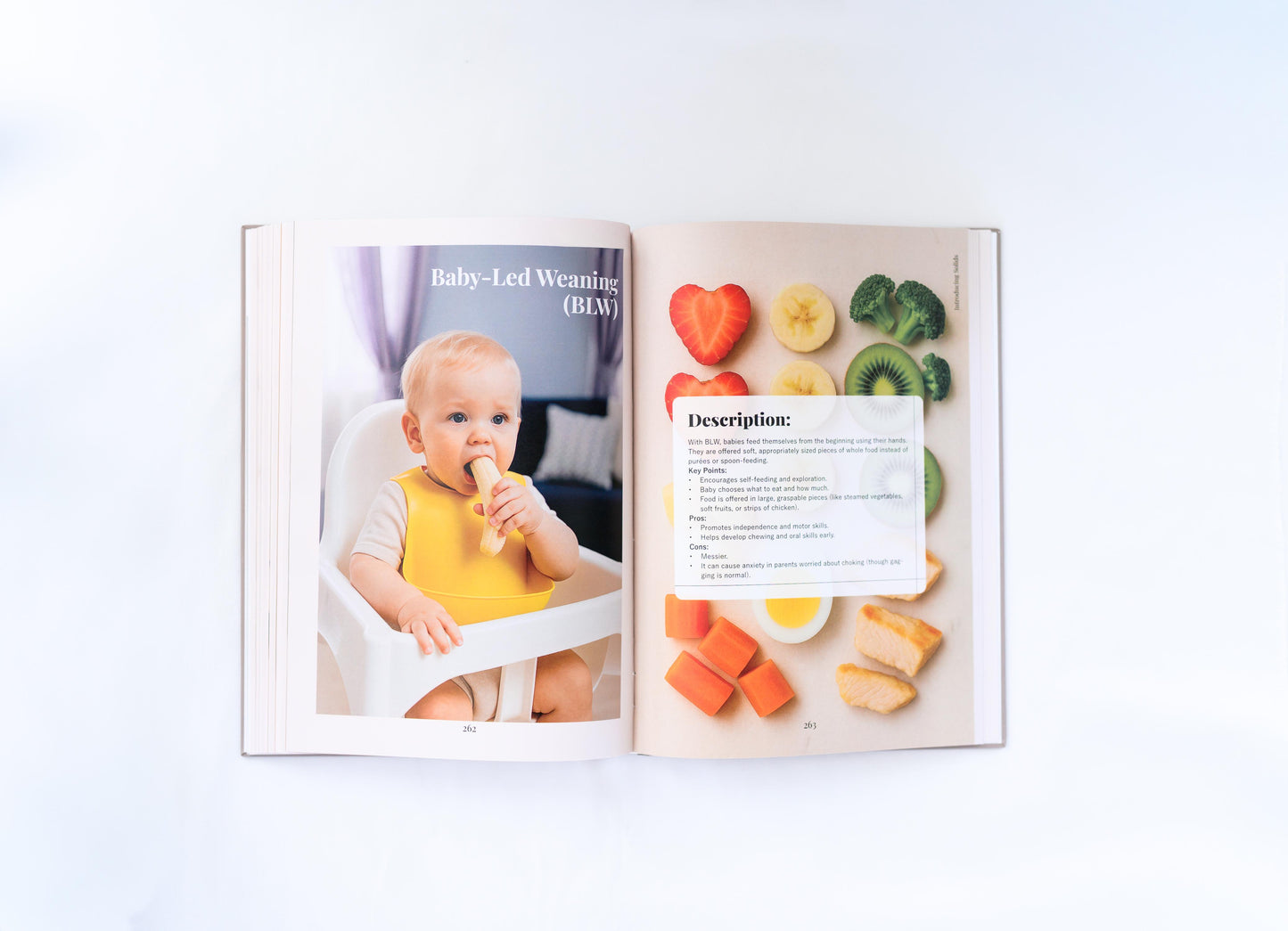 The Baby Bare Essentials Motherhood Planner & Guide