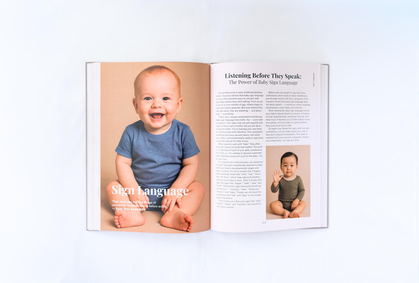 The Baby Bare Essentials Motherhood Planner & Guide